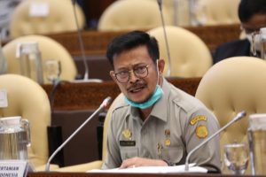 Komisi IV DPR RI Setujui Pagu Anggaran 2021 Kementan