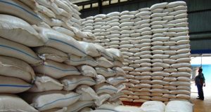 Ketersediaan Stok Beras di Kabupaten Fakfak Relatif Aman