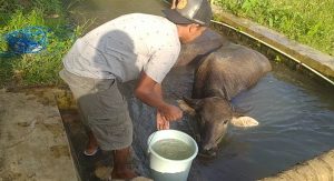 Ditengah Penghargaan Dunia, Tersisa Masyarakat Tidak Bisa Menikmati Air Bersih