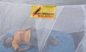 Distribusi Kelambu Massal dan Pemberian Obat Pencegahan Masal Kaki Gajah dan Cacingan di Provinsi Papua Barat