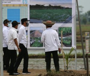 Presiden Jokowi Tinjau Percontohan Kawasan Food Estate Kalteng