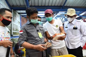 Mentan Pantau Proses Budidaya Tanaman Pangn di Kawasan Lembang, Bandung