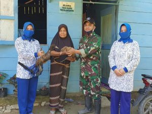 Sambut Hari Armada, TNI AL Simeulue Panen Unggas Jenis Bebek