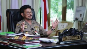 Ekonom Faisal Basri Dukung Program Diversifikasi Pangan Lokal