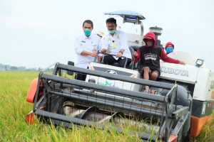 Apa Itu IP400 ? Ini Yang Dilakukan Kementan