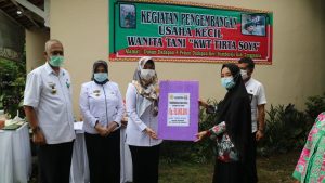 Bupati Serahkan Bantuan kepada Dua KWT di Sumberejo