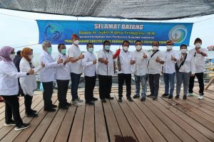 Perhitungan Budidaya Lobster Capai 24 Ton Setahun, Ini Penjelasan GPLI