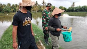 Sukseskan Program Ketahanan Pangan Nasional, Kodim 1617 Jembrana Lakukan Kerjasama dan Pendampingan Terhadap Petani