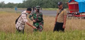 Wisata Petik Sayur (WPS) dan Demonstrasi Plot Demplot Kodim 1205/Sintang