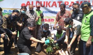 Dinas Pertanian Tingkatkan Produktifitas Tanaman Pangan dan Hortikultura
