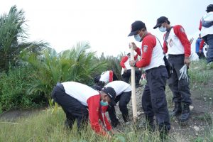 Minimalisir Dampak Megatrush, TAGANA Menanam 2,7 Juta Manggrove