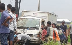 Hindari Pemotor Nyalip, Mobil Mini Box Masuk Sawah 