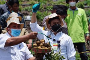 Kementan Jaga Strategi Produksi dan Pengendalian Pangan