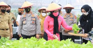 Kapolda Sulsel Resmikan Pekarangan Pangan Lestari dan Rumah Bibit Kelompok Wanita Tani Anging Mammiri