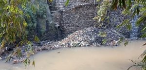 CV Perintis Putera Bangsa (Mega Laundry) Tetap Dalam Keyakinannya, Sudah Melalui Prosedur