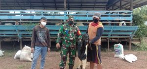 Babinsa Koramil 1015-12/Parenggean Komsos Ke Perternak Kambing Etawa