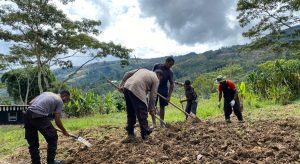 Tingkatkan Sektor Pertanian, Bhabinkamtibmas Bersama Masyarakat Bercocok Tanam