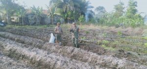 Danramil 1015-07/Mentaya Hilir Utara Gunakan Lahan Kosong untuk Ketahanan Pangan di Tengah Pandemi Covid-19