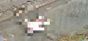 Mayat Bayi Ditemukan Meninggal di Irigasi Desa Lajer Kebumen