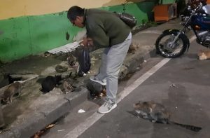 Meski di Tengah Himpitan Pandemi, Jurnalis Ini Tetap Konsisten Memberi Makan Kucing Liar
