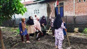 Di Pulo Ara Bireuen, Pemberdayaan Ekonomi Dengan Bangkitkan Pertanian Produktif