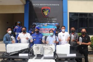 Gagalkan 90.000 Bibit Lobster, Ditpolairud Polda Banten Selamatkan Kekayaan Negara Sebesar 23 M