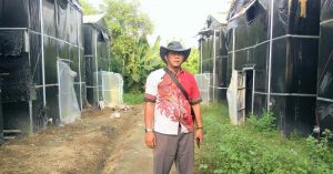 Pengembangan usaha jamur merang Bumdes Bina Usaha Mandiri Karawang