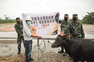 Jelang Idul Adha, IMIP Bagikan Puluhan Hewan Qurban