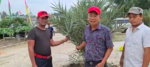 Ketum DPP Aliansi Pewarta Pertanian Indonesia tanam bibit kurma di Areal Agro Wisata DPP Santri Tani NU Palas