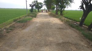 Akses jalan menuju Desa Muara Baru, Karawang rusak parah