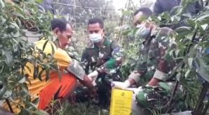Gerilya Vaksinasi Korem 061/SK Sasar Kampung dan Kebun Warga