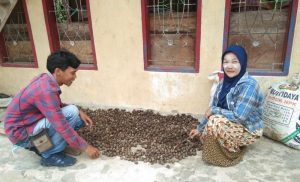 Manfaatkan kawasan hutan, warga Puppuring tingkatkan produksi kemiri