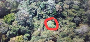 Kecelakaan Paralayang di Puncak Lawang berhasil dievakuasi, korban selamat