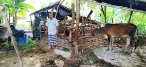 Babinsa Koramil 02/Samalanga Dampingi Warga Lakukan Pemeriksaan Hewan