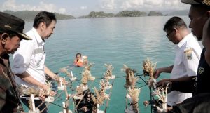 Perbaiki Ekosistim, IMIP Rehabilitasi Terumbu Karang di Pulau Sombori