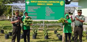 Dandim Bersama Kepala Staf Panen Sayur Hidroponik