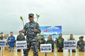 Danlantamal IX sukseskan penanaman 1.000.377 mangrove dan masuk Muri