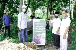 Jelang Idul Adha PT IMIP Sebar Hewan Qurban