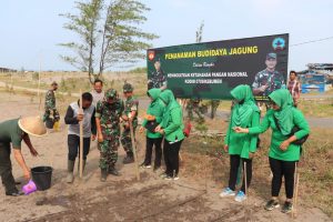 Prajurit Kodim 0709/Kebumen Tanam Jagung di Lahan Kosong TNI AD