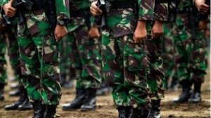 Mabes AD buka suara soal kecaman prajurit TNI kepada Effendi Simbolon