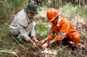 Jaga Sumber Pakan Monyet Tongkean, PT. IMIP bersama Volunteer Morowali Tanam Ratusan Pohon.