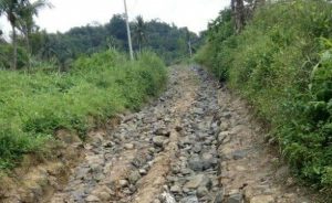 Warga Desa Cikarang, Cidolog, Sukabumi harapkan perhatian pemerintah perbaiki ruas jalan yang rusak parah