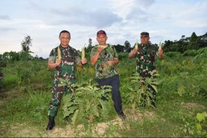 Apresiasi kegiatan ketahanan pangan jajaran Kodim 1502/ Masohi, Maulana Rindwan ikut panen Jagung