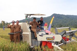 Pj. Bupati Landak Penen Raya di Menjalin