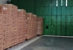 Dr. Hj. Rizayati Kembali Kirimkan Ribuan Lampu PJUTS ke Seluruh Indonesia
