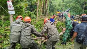 Tim SAR Brimob Bone Evakuasi Pohon Tumbang yang Tutup Akses Jalan di Desa Usa