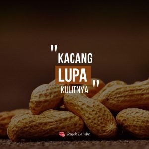 Dinasti Politik Seperti Kacang Lupa Kulit Dalam Berpolitik