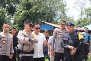 Kapolda Sumut Pimpin Operasi Pemberantasan Ladang Ganja di Madina