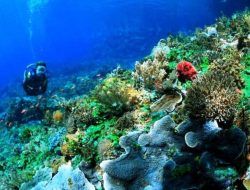 Menggali Potensi Laut Dalam Indonesia