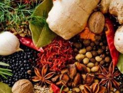 Menggenjot Belanja Obat Herbal di Faskes Pemerintah
